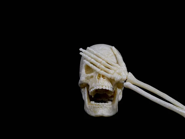 A human skull with an open mouth resembling laughter covers its eyes with a skeleton hand,hand face — Stockfoto