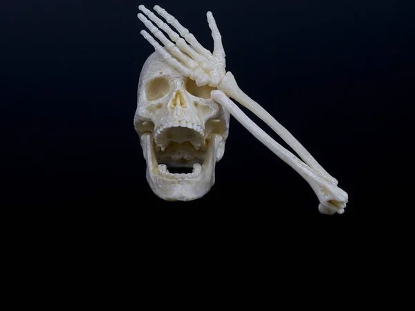 a human skull with an open mouth resembling laughter covers its eyes with a skeleton hand,hand face