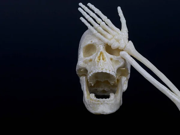 a human skull with an open mouth resembling laughter covers its eyes with a skeleton hand,hand face