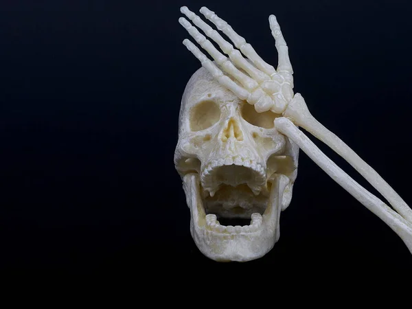 A human skull with an open mouth resembling laughter covers its eyes with a skeleton hand,hand face — Fotografia de Stock