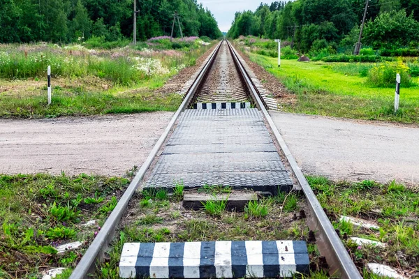 Cruce Ferroviario Está Equipado Con Protección Barrera Ferrocarril Vía Única — Foto de Stock