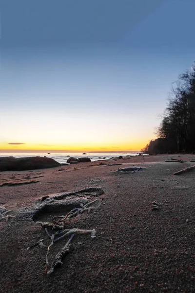 海岸沿いの砂 雪の上の痕跡を持つ驚くほど美しい海 夕方には太陽と海岸 青い海と空のカラフルな風景 古典的な青緑豊かな自然を背景に — ストック写真