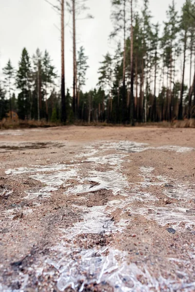 Piece Frozen Water Background Forest Sand Arrival Frost Winter — Stock Photo, Image