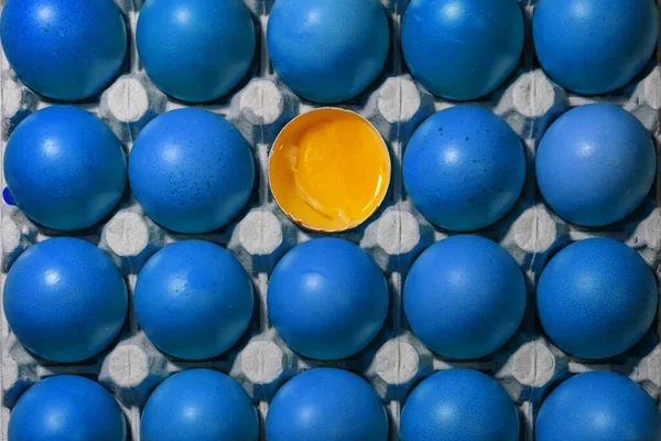 Uovo Rotto Guscio Tra Uova Intere Colore Blu Classico Vista — Foto Stock