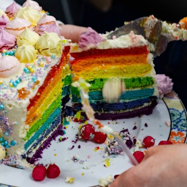 Masada servis etmek için güzel bir tabakta LGBT gökkuşağı pastası kesilir. İnsanların arka planına karşı, seçici odak, bulanık resim.