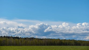 Güzel bir ormanı, alçak bulutları ve bulutların üzerinde açık mavi bir gökyüzü olan yeşil bir çayır. resim kartpostal doğası. 