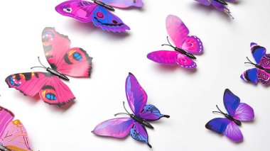 Beyaz arka planda izole edilmiş güzel kelebekler..