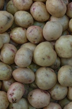 dikey fotoğraf arkaplanı, yeni patates yığını, doku