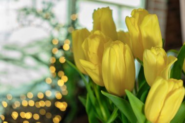 Bir buket güzel sarı lale parlak Noel ışıkları ve arka planda yeni yıl ışıklarıyla kapanıyor.