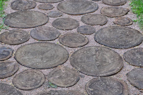 Texture Piste Cercles Bois Avec Fissures — Photo