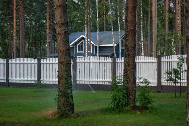 Otomatik fıskiye sistemi bahçedeki çimleri suluyor. Sulama Bahçesi Bitkileri.