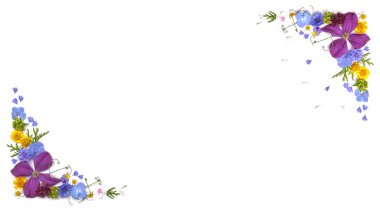 düzlük, çiçek kompozisyonu. Beyaz bir arka planda yabani ve bahçe çiçekleri ve yaprakları deseni. Düz biçim, üst görünüm, kopyalama alanı, yatay çerçeve