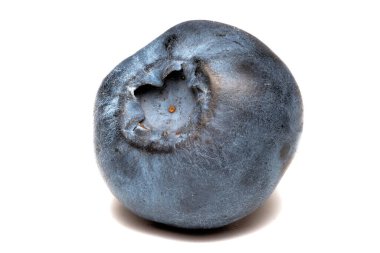 Yakın plan, taze olgun yaban mersini beyaz arka planda izole edilmiş.