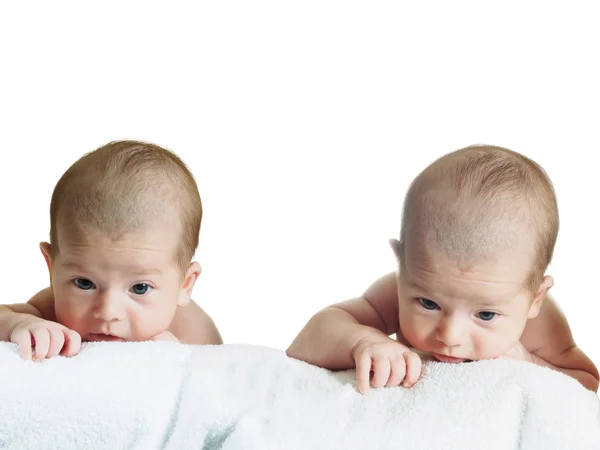 Portrait de deux jeunes garçons nouveau-nés caucasiens drôles isolés sur blanc — Photo