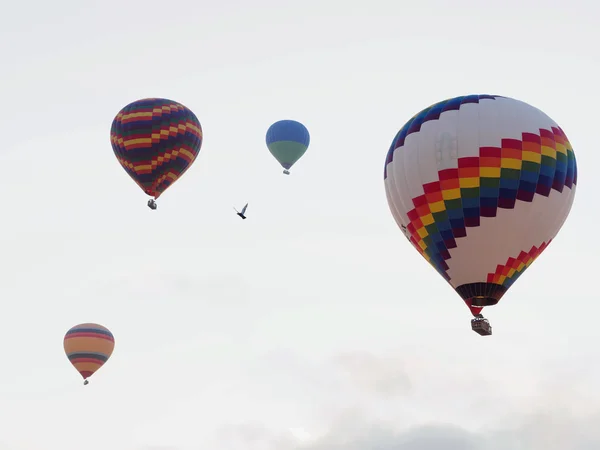 Hot air balloons over landscape at Cappadocia, Turkey — Stockfoto