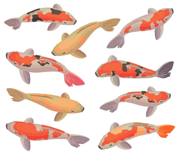 Set Vectores Con Peces Koi Rojos Dorados Icono Plano Dibujos — Vector de stock