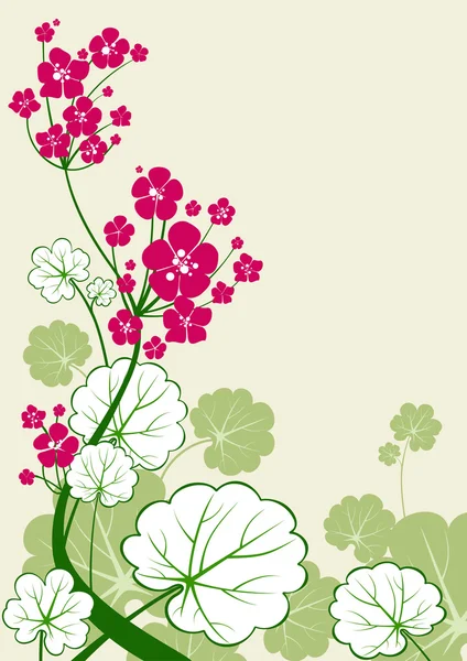 Floral achtergrond met ruimte — Stockvector