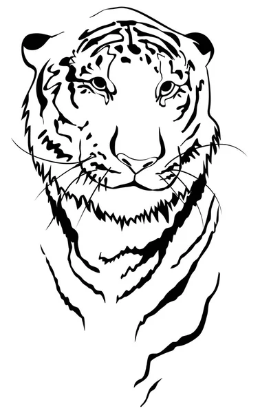 Tigre ilustración lineal — Vector de stock