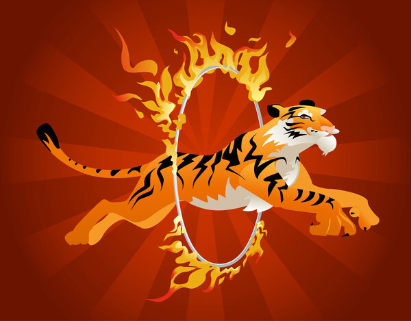 Tiger jumping through  hoop