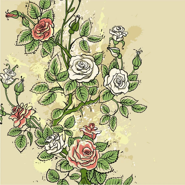 Grunge Roses Contexte — Image vectorielle