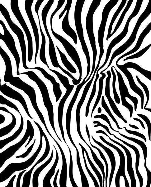 Abstract Zebra skin — Stock Vector