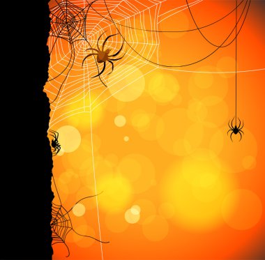 Sonbahar turuncu arka plan ile örümcekler