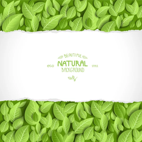 Fondo natural con hojas — Vector de stock