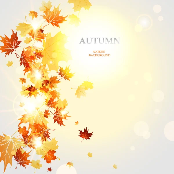 Herfst achtergrond met ruimte — Stockvector