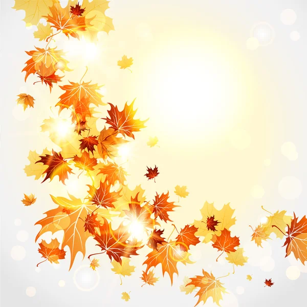 Maple autumn leaves — Stock Vector