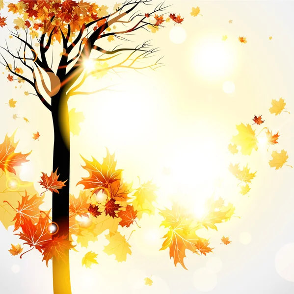 Beautiful autumnal background with tree — Stock Vector