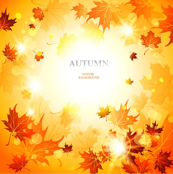 明るい秋の背景 — ストックベクタ