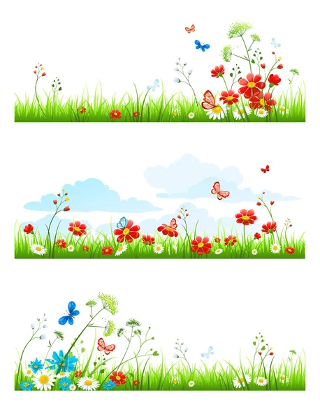 Hierba de verano y flores — Vector de stock