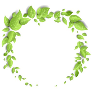 yeşil yapraklar arkaplan