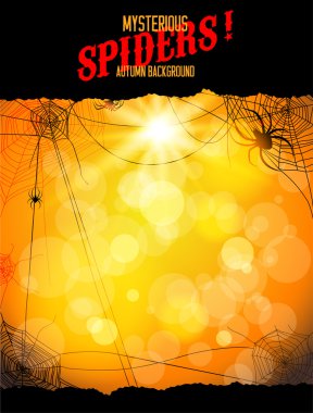Turuncu zemin ile örümcekler ve web