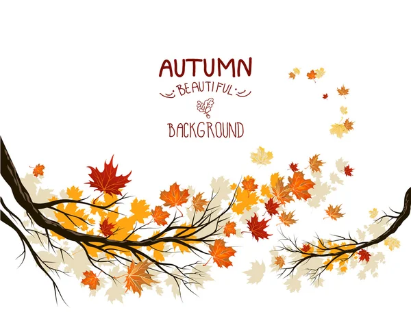 Autumn branches with leaves — Stock Vector