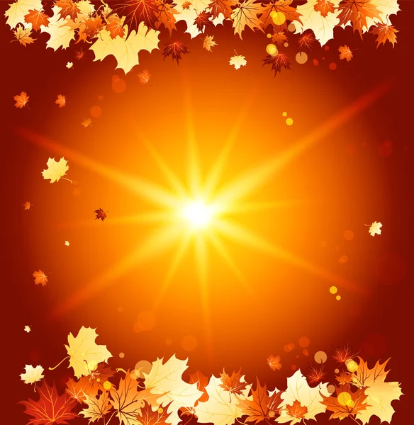 Shining autumn background — Stock Vector