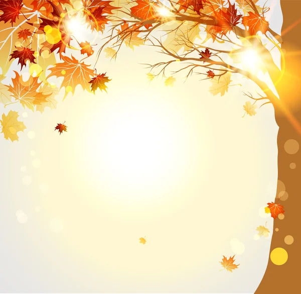 Árvores outonais com folhas de outono de bordo —  Vetores de Stock
