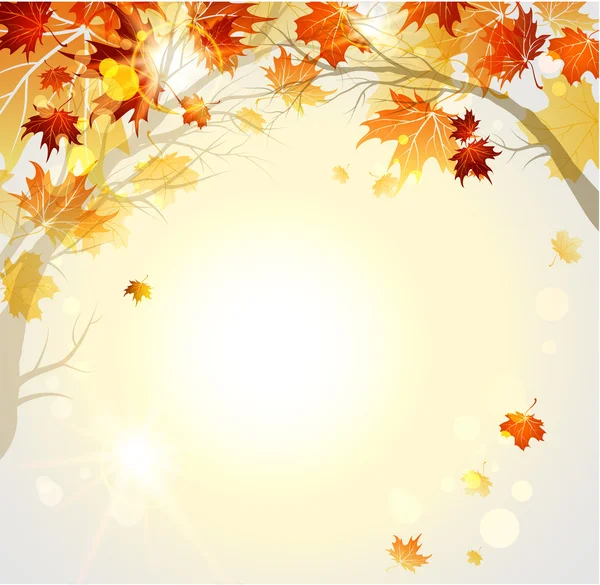 Beautiful autumn background with branches — Stock Vector