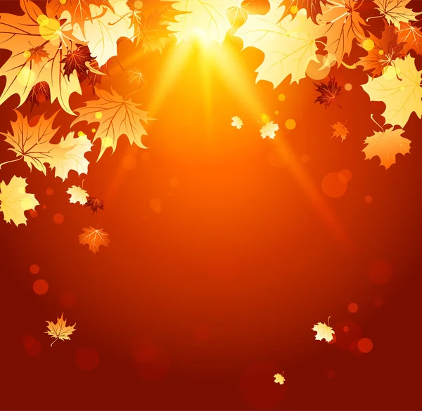 Shining autumn background — Stock Vector