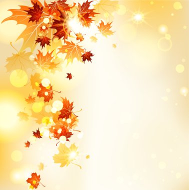 Kopya alanı ile uçan yaprakları