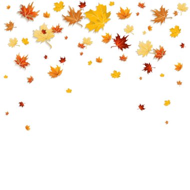 düşen yaprakları arka plan