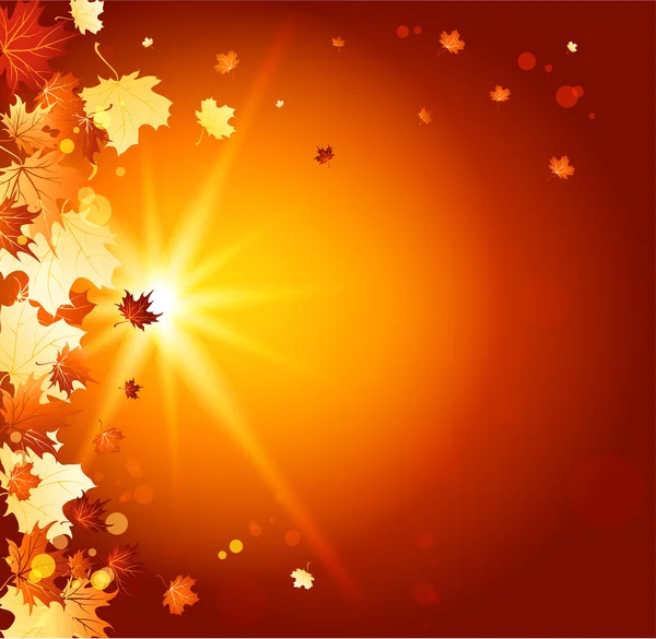 Podzimní slunečné pozadí — Stockový vektor