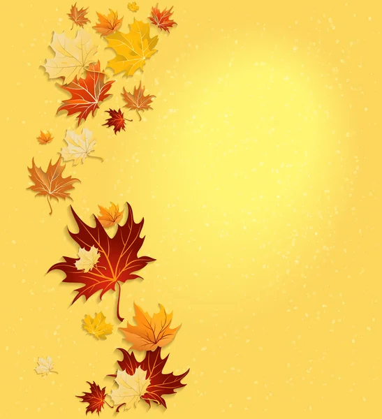 Hermosas hojas de otoño — Vector de stock