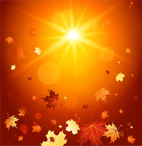 秋天的落叶，在明亮的背景上 — 图库矢量图片