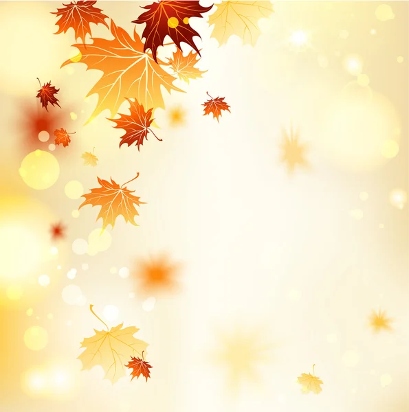 Fall background with maple leaves — Stock Vector
