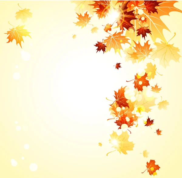 Background with maple autumn leaves — Stock Vector