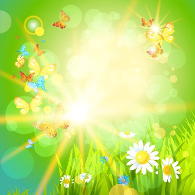 Pozitif yaz arka plan