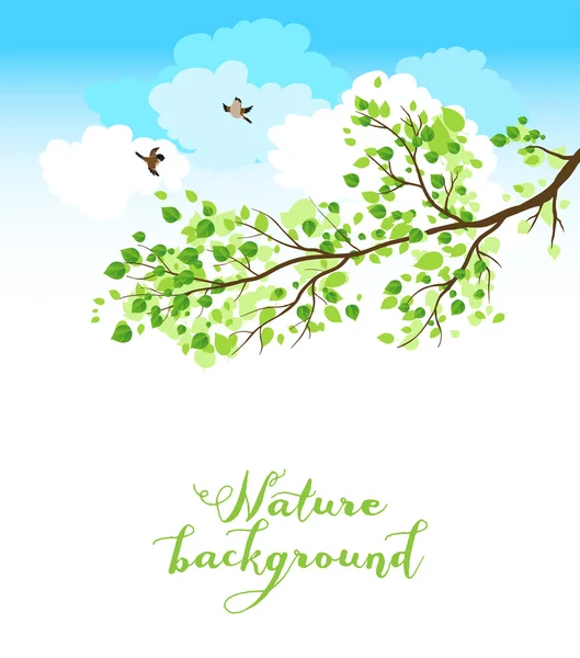 Branch with sky and birds — Stockvector