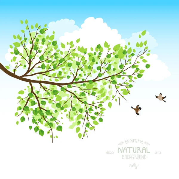 Branch with sky and birds — Stockvector
