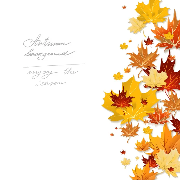 Belles feuilles d'automne — Image vectorielle